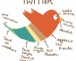 What Twitter is Really Like