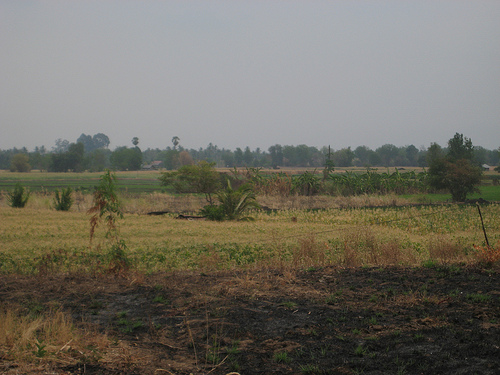 Going Up To Phetchabun